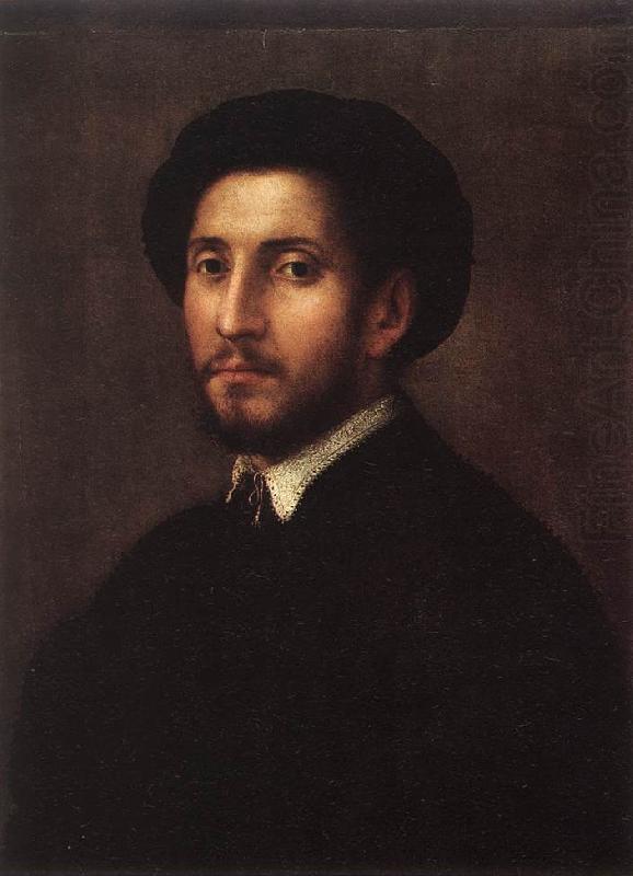 FOSCHI, Pier Francesco Portrait of a Man sdgh china oil painting image